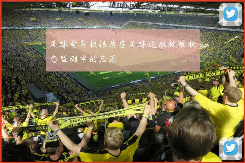 足球奇异核性质在足球运动极限状态监测中的应用